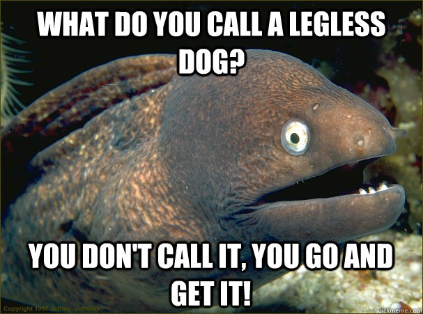 what do you call a legless dog? you don't call it, you go and get it!  Bad Joke Eel