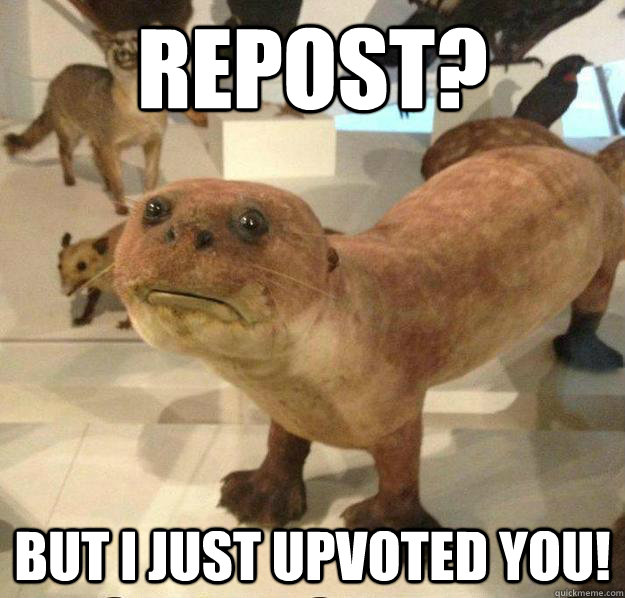 Repost? But I just upvoted you!  betrayed otter