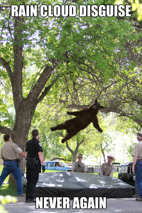 Rain cloud disguise Never Again  Boulder Bear