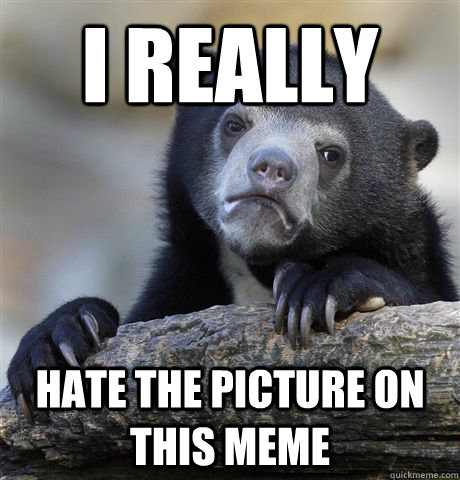 I really hate the picture on this meme  Confession Bear