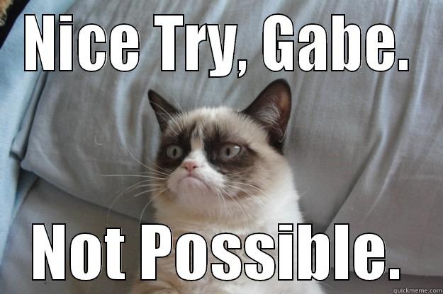 NICE TRY, GABE. NOT POSSIBLE. Grumpy Cat