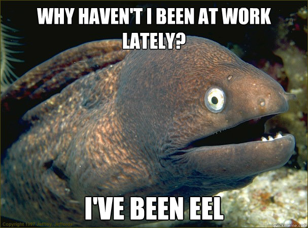Why haven't I been at work lately? I've been eel - Why haven't I been at work lately? I've been eel  Bad Joke Eel