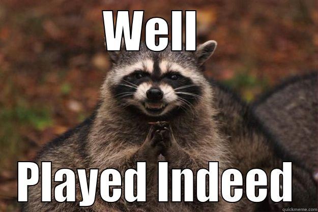 Racoon says.... - WELL  PLAYED INDEED Evil Plotting Raccoon