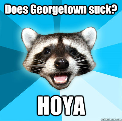 Does Georgetown suck? HOYA  Lame Pun Coon