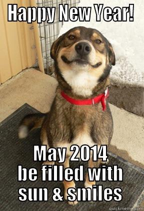 HAPPY NEW YEAR! MAY 2014 BE FILLED WITH SUN & SMILES Good Dog Greg