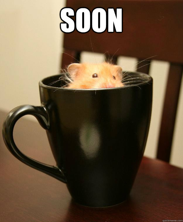 SOON   Devious Hamster