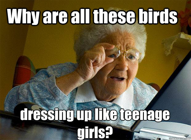 Why are all these birds  dressing up like teenage girls?  Grandma finds the Internet