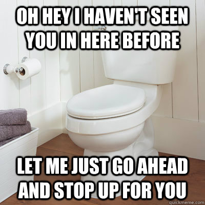 oh hey i haven't seen you in here before let me just go ahead and stop up for you  Scumbag Toilet