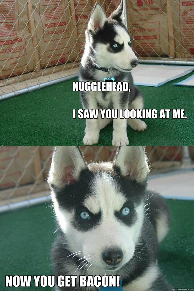 nugglehead,  

I saw you looking at me. Now You get bacon!  Insanity puppy