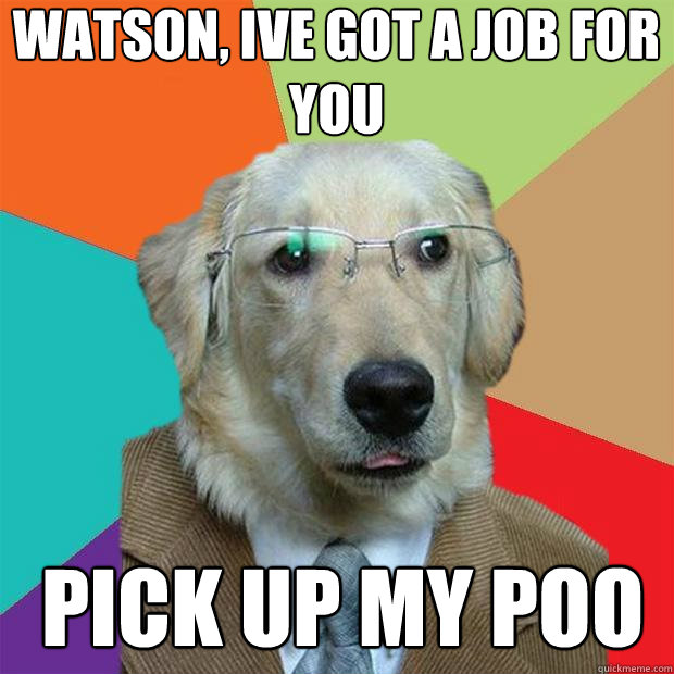 watson, ive got a job for you
 pick up my poo  Business Dog