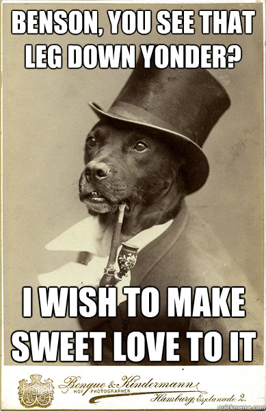 Benson, you see that leg down yonder? I wish to make sweet love to it - Benson, you see that leg down yonder? I wish to make sweet love to it  Old Money Dog