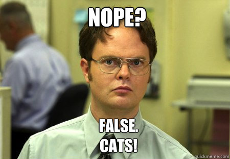 NOPE? FALSE.  
Cats!  Schrute