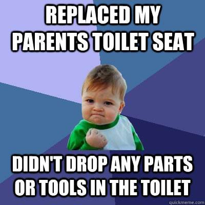 Replaced my parents toilet seat didn't drop any parts or tools in the toilet  Success Kid