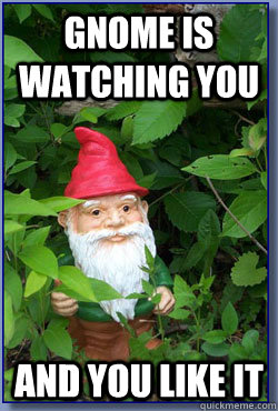Gnome is watching you and you like it  Bush Gnome
