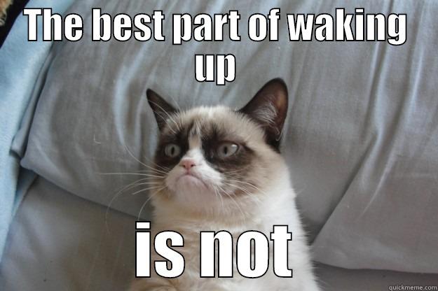 THE BEST PART OF WAKING UP IS NOT Grumpy Cat