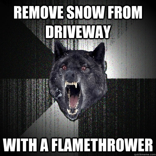 Remove snow from driveway with a flamethrower - Remove snow from driveway with a flamethrower  Insanity Wolf