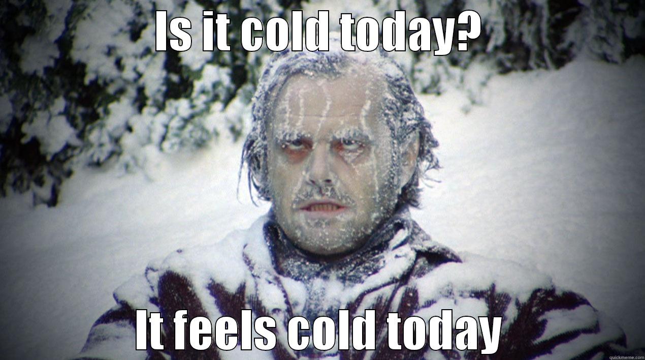 Is it cold today? - IS IT COLD TODAY? IT FEELS COLD TODAY Misc