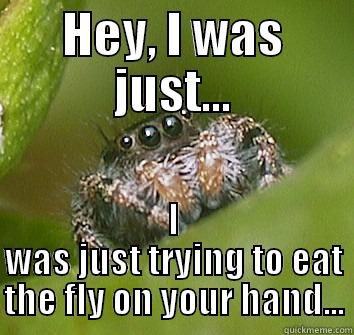 HEY, I WAS JUST... I WAS JUST TRYING TO EAT THE FLY ON YOUR HAND... Misunderstood Spider