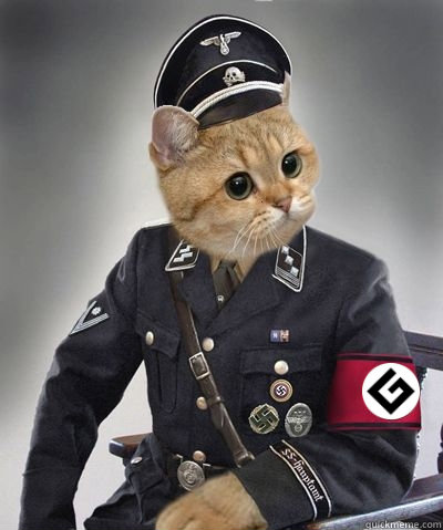   -    grammar nazi cat