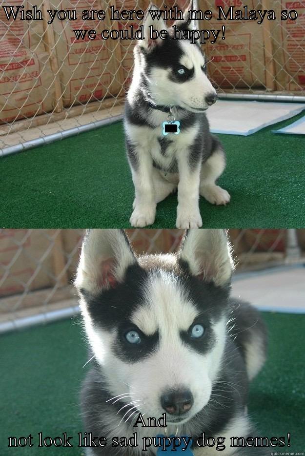 I MISS YOU!!!!! - WISH YOU ARE HERE WITH ME MALAYA SO WE COULD BE HAPPY! AND NOT LOOK LIKE SAD PUPPY DOG MEMES! Insanity puppy