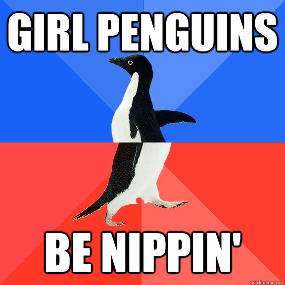 girl penguins be nippin'  Socially Awkward Awesome Penguin