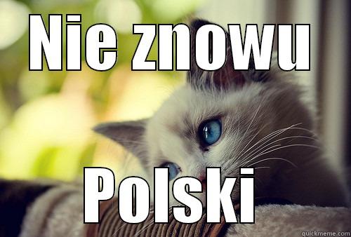 NIE ZNOWU POLSKI First World Problems Cat