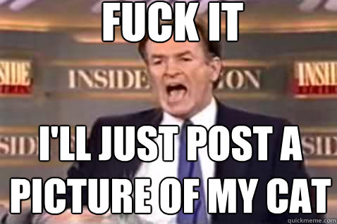 fuck it i'll just post a picture of my cat  Fuck It Bill OReilly