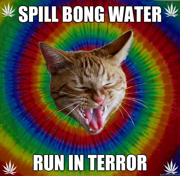 Spill Bong Water run in Terror  