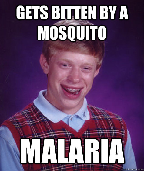 Gets bitten by a mosquito Malaria - Gets bitten by a mosquito Malaria  Bad Luck Brian