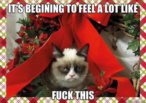 It's begining to feel a lot like FUCK THIS  A Grumpy Cat Christmas