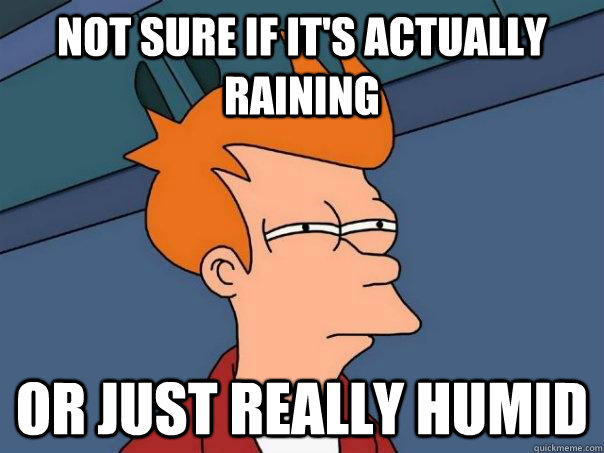 Not sure if it's actually raining or just really humid  Futurama Fry