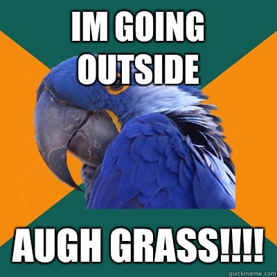 Im going outside AUGH GRASS!!!!  Paranoid Parrot