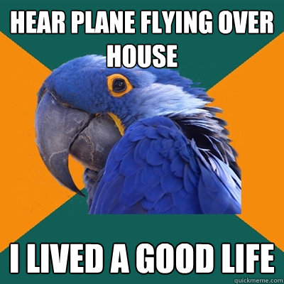 hear plane flying over house I lived a good life  Paranoid Parrot