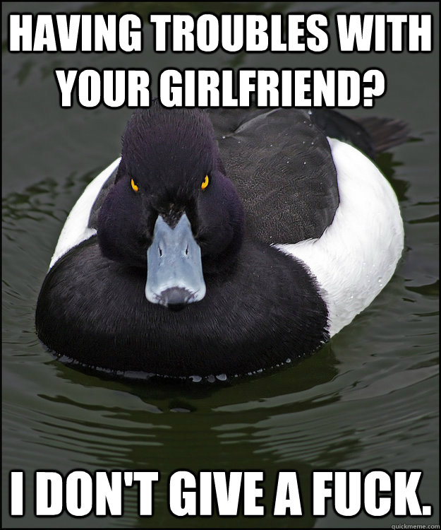 having troubles with your girlfriend? i don't give a fuck.  Angry Advice Duck