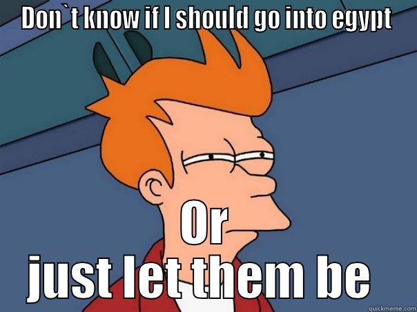 DON`T KNOW IF I SHOULD GO INTO EGYPT OR JUST LET THEM BE  Futurama Fry
