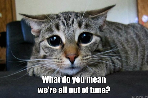  What do you mean 
we're all out of tuna?  
