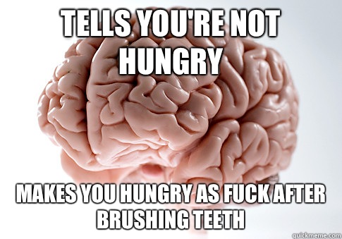 Tells you're not hungry Makes you hungry as fuck after brushing teeth  Scumbag Brain