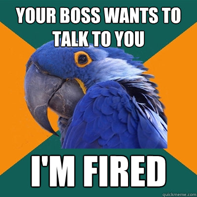 Your boss wants to talk to you I'm Fired  Paranoid Parrot