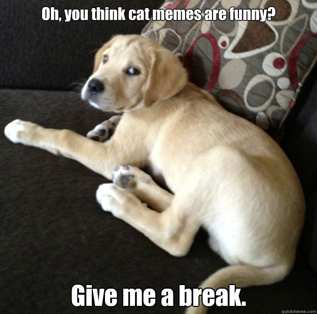 Oh, you think cat memes are funny? Give me a break. - Oh, you think cat memes are funny? Give me a break.  MylestheMeme