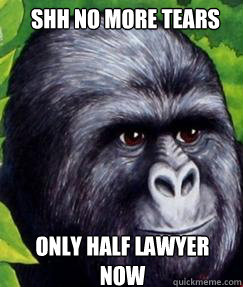 shh no more tears Only half lawyer now  gorilla munch