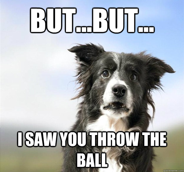 But...but... I saw you throw the ball - But...but... I saw you throw the ball  Misc