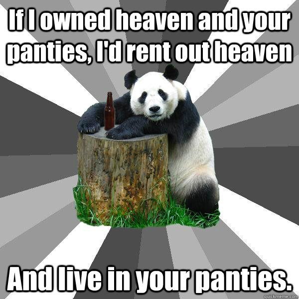 If I owned heaven and your panties, I'd rent out heaven And live in your panties.  Pickup-Line Panda