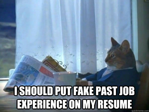  I should put fake past job experience on my Resume  morning realization newspaper cat meme