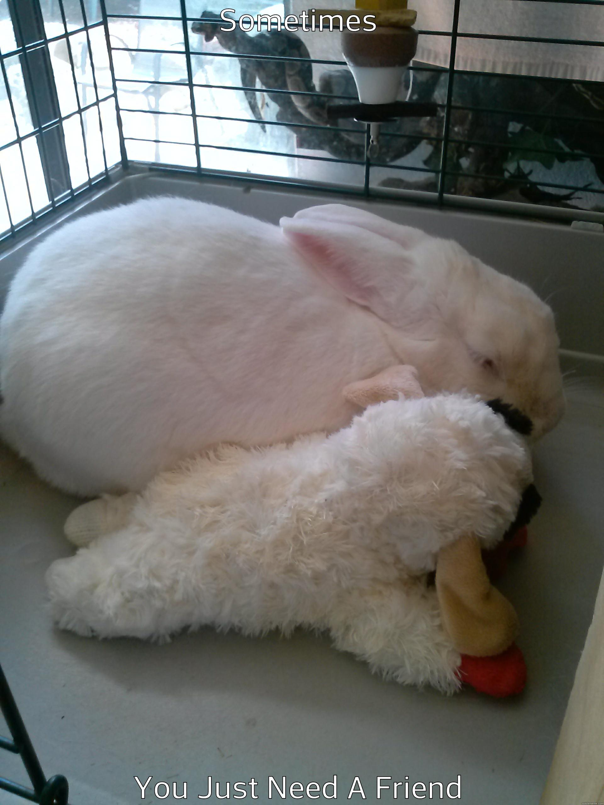 SOMETIMES YOU JUST NEED A FRIEND Misc