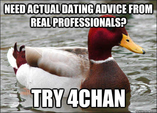 Need actual dating advice from real professionals? try 4chan - Need actual dating advice from real professionals? try 4chan  Malicious Advice Mallard