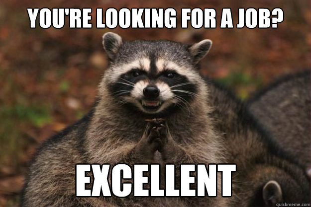 you're looking for a Job? excellent  Evil genius racoon