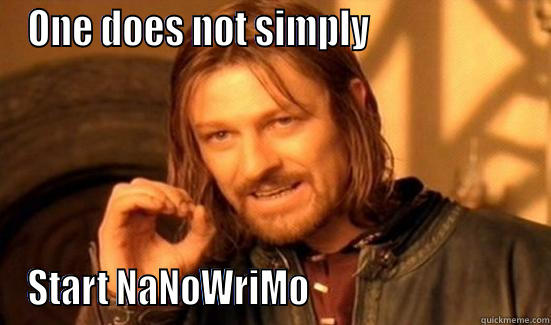 ONE DOES NOT SIMPLY                     START NANOWRIMO                              Boromir