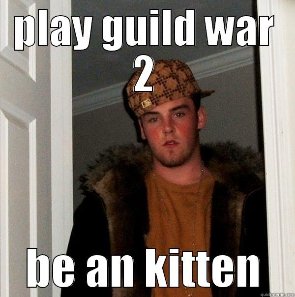 PLAY GUILD WAR 2 BE AN KITTEN Scumbag Steve
