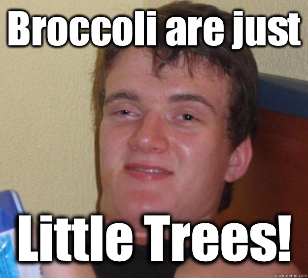 Broccoli are just  Little Trees!  10 Guy