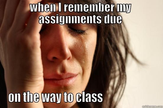 WHEN I REMEMBER MY ASSIGNMENTS DUE ON THE WAY TO CLASS                        First World Problems